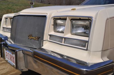 Special front clip with painted headlight grille and brown and gold bumper strips
