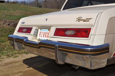 Protective bumper strips were brown with a gold stripe.
