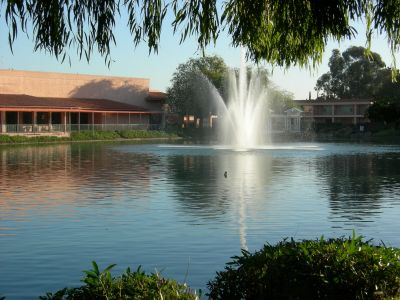 Lake at the Radisson
