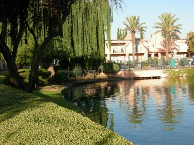 Lake at the Radisson
