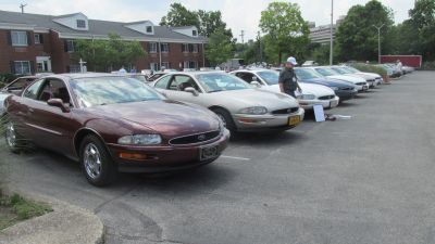 The Eighth Generation “Lined-Up” for the Show
