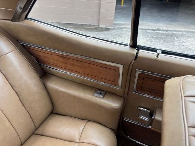 Original Listing Pic … Interior … Driver Side Back Seat
