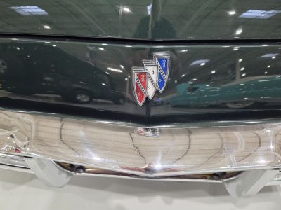 Paint Details … Original Trunk Lock Cover

