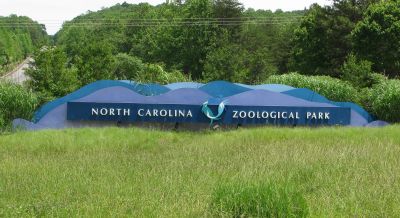 Asheboro attractions … North Carolina Zoological Park

