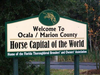 Ocala, Horse Capitol of the World
