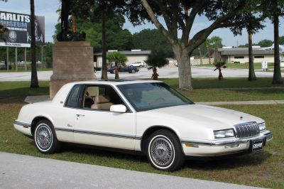 1986-1993 Class - First Place
1993, Diamond White, owned by Randall & Gwyn Crain, Sophia, NC
