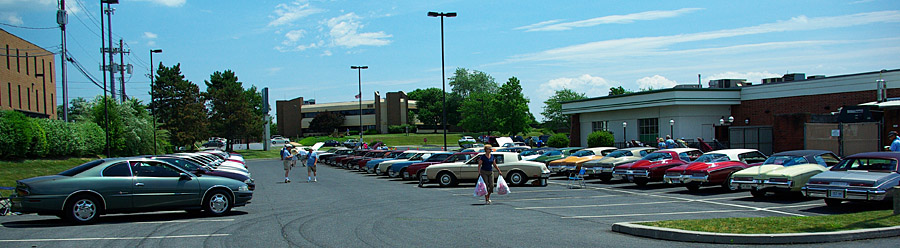 Show field pano